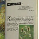 Kresy Jacek Kolbuszewski [2005]