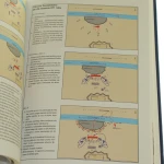 Wyprawy krzyżowe Normanowie (7).JPG