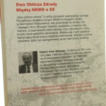dwa oblicza zdrady (2).JPG