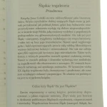 Ślązacy w Warszawie (5).JPG