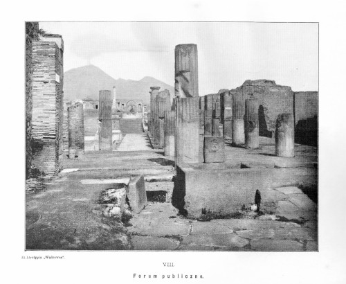 Forum publiczne / Elektrotypia "Wędrowca" [Tablica nr VIII z albumu, 1896 r.]