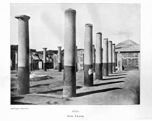 Dom Fauna / Elektrotypia "Wędrowca" [Tablica nr XVIII z albumu, 1896 r.]