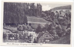 Bad Reinerz [etc.] [Duszniki-Zdrój] [pocztówka] [przed 1945 r.]