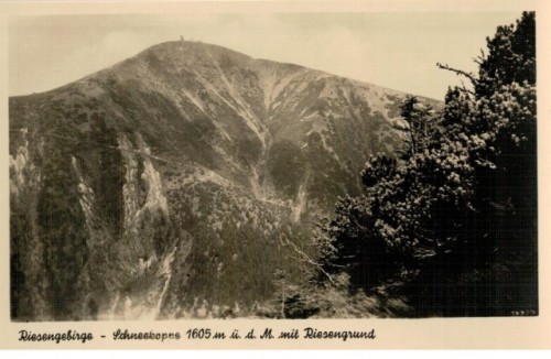 Riesengebirge Schneekoppe 1605 m (pocztówka przed 1945 Karkonosze)