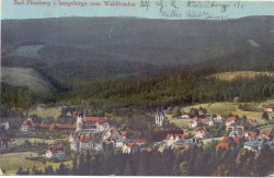 Bad Flinsberg [etc.] [Świeradów-Zdrój] [pocztówka] [1920]