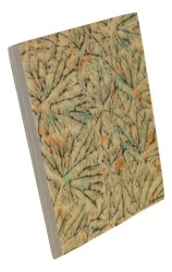 Zabytki przedhistoryczne z Wiela w powiecie chojnickim Rajewski Zdzisław Adam (1935)