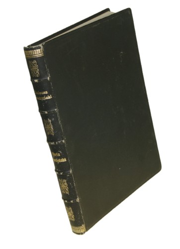 Marya Leszczyńska Konczyński Tadeusz [1917]