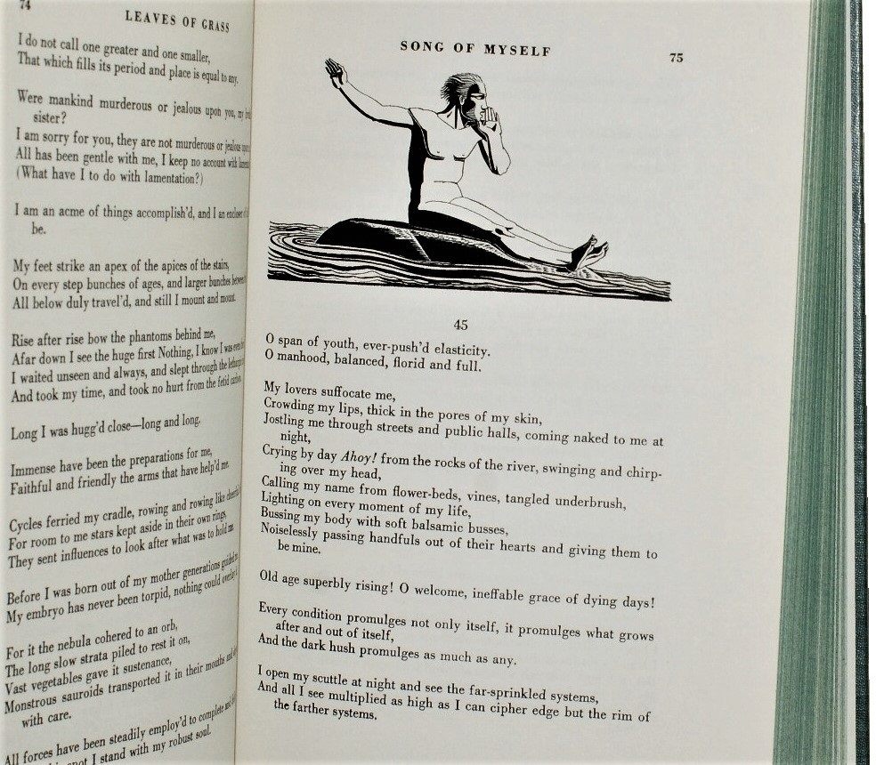 Źdźbła trawy Whitman kolekcjonerska