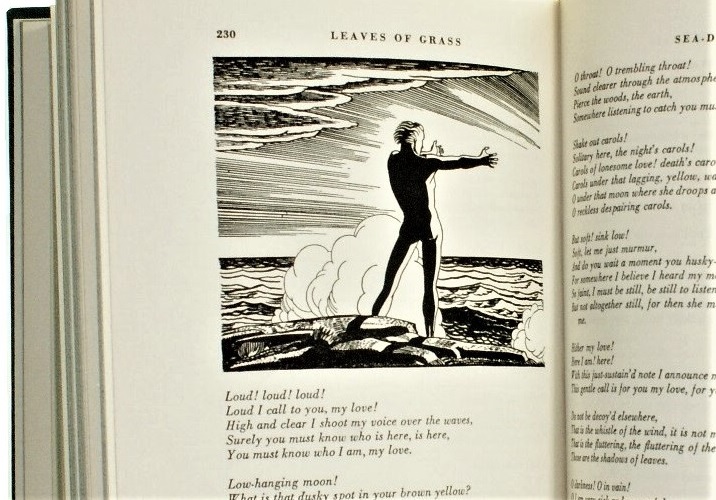 Źdźbła trawy Whitman