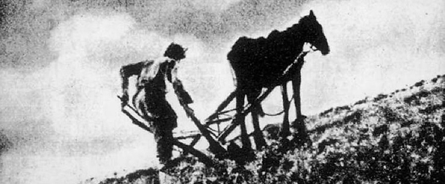 BIUROKRACJA KIERUJE PŁUGIEM