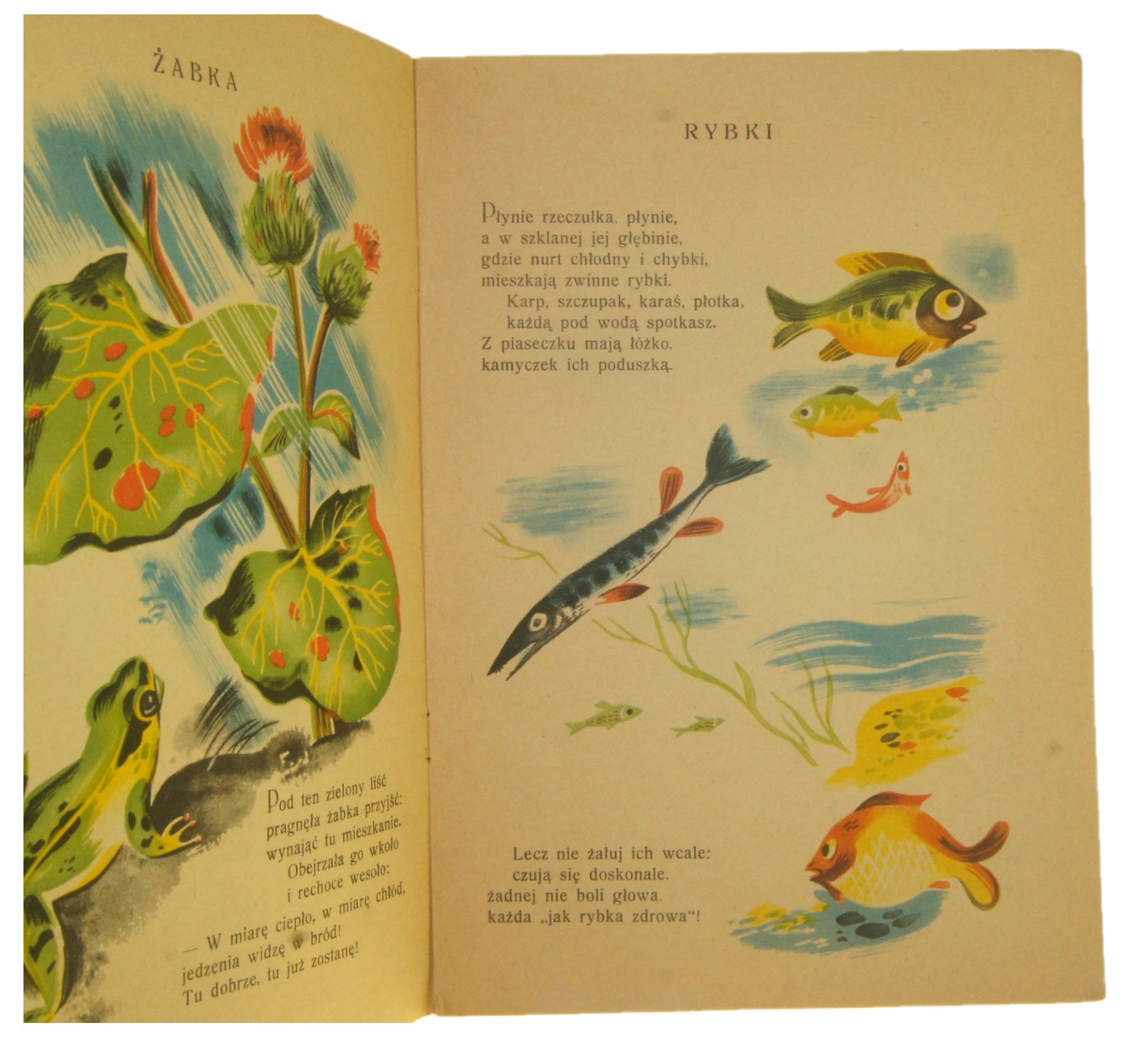 kazdy tomek ma swoj domek