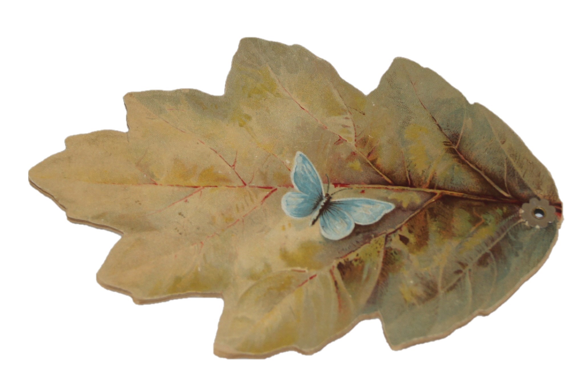 Souvenir a Varsovie, Karl Sommer, rue Miodowa 4.