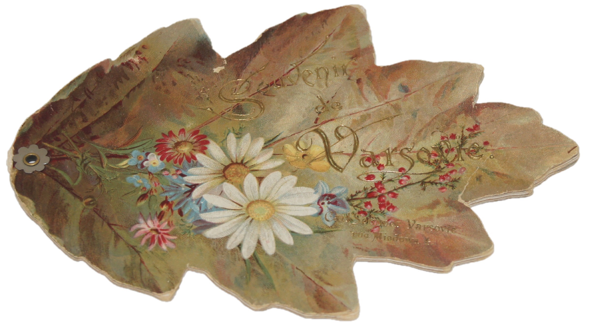 Souvenir a Varsovie, Karl Sommer, rue Miodowa 4.