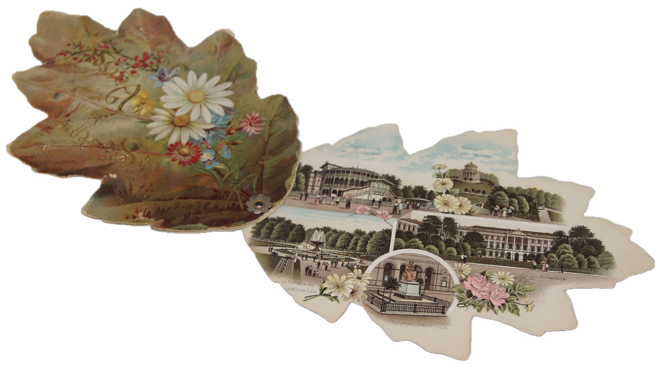 Souvenir a Varsovie, Karl Sommer, rue Miodowa 4.